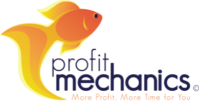 Profit Mechanics