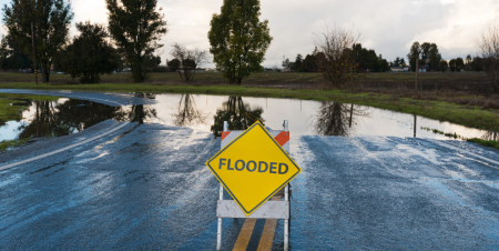 Support for small businesses, primary producers and    not-for-profits affected by SEQ severe storms